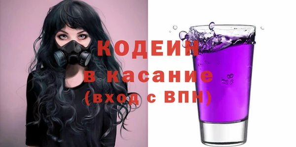 гашик Алексин
