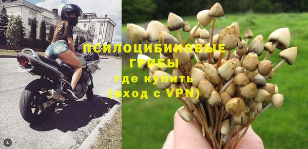 круглые Алзамай