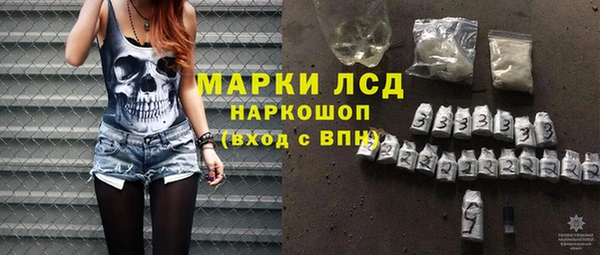 гашик Алексин