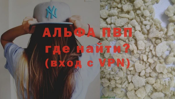 гашик Алексин